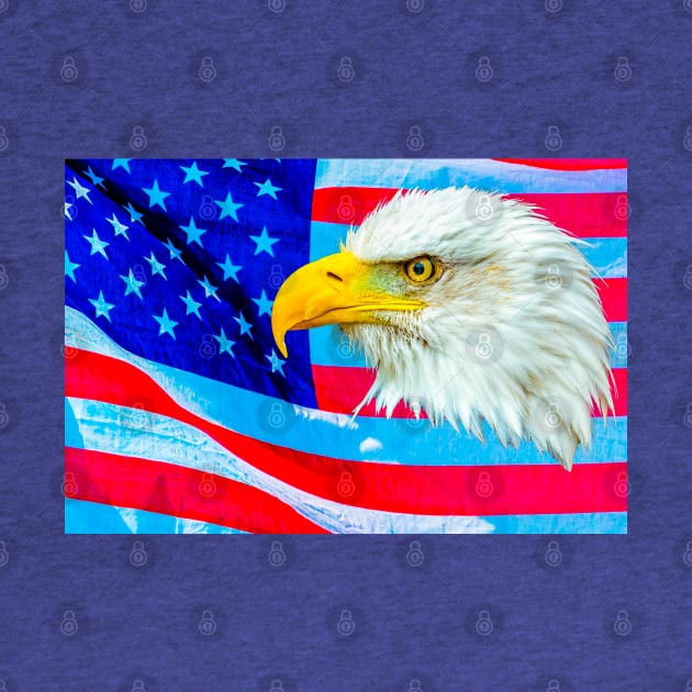 Bald Eagle over the Stars and Stripes by dalyndigaital2@gmail.com